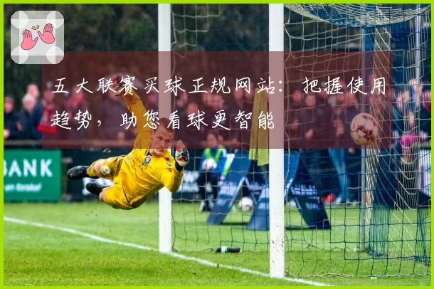 五大联赛买球正规网站：把握使用趋势，助您看球更智能