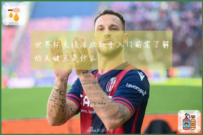 世界杯竞猜活动新手入门前需了解的关键点是什么