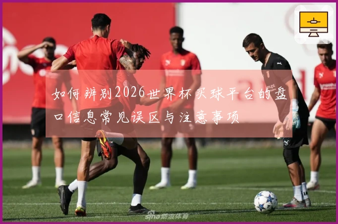 如何辨别2026世界杯买球平台的盘口信息常见误区与注意事项
