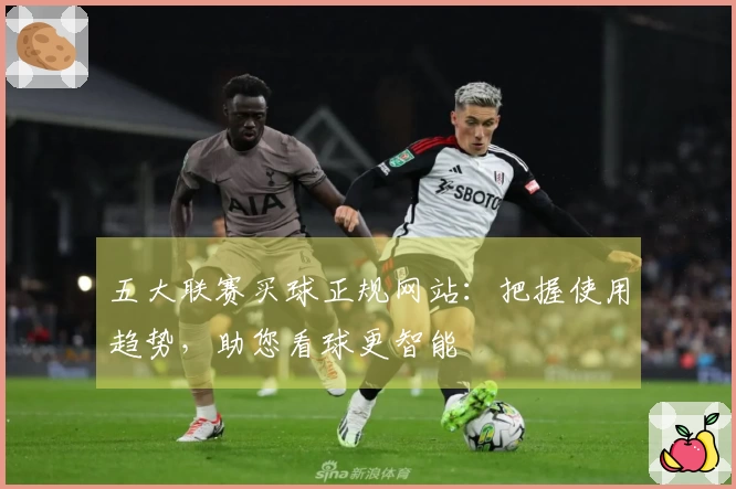 五大联赛买球正规网站：把握使用趋势，助您看球更智能