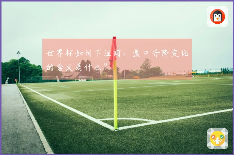 世界杯如何下注前，盘口升降变化的含义是什么？