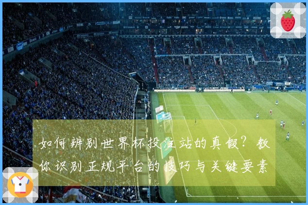 如何辨别世界杯投注站的真假?教你识别正规平台的技巧与关键要素