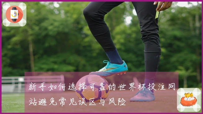 新手如何选择可靠的世界杯投注网站避免常见误区与风险