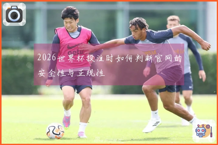 2026世界杯投注时如何判断官网的安全性与正规性