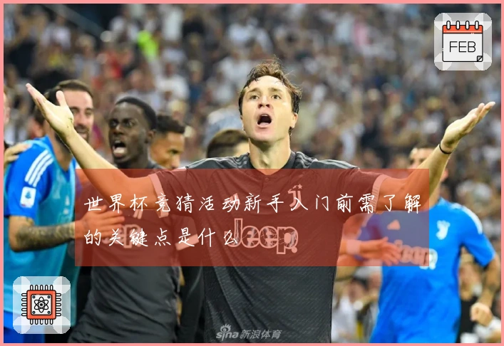 世界杯竞猜活动新手入门前需了解的关键点是什么
