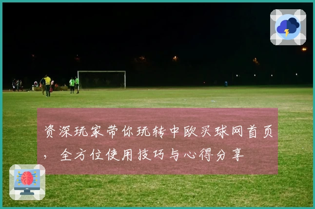 资深玩家带你玩转中欧买球网首页，全方位使用技巧与心得分享