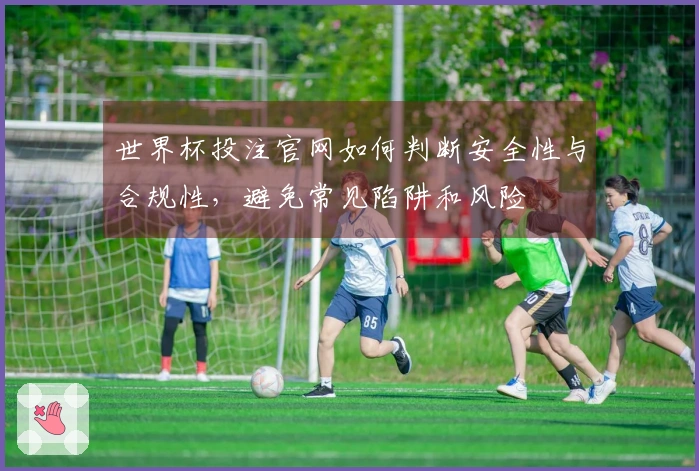 世界杯投注官网如何判断安全性与合规性，避免常见陷阱和风险