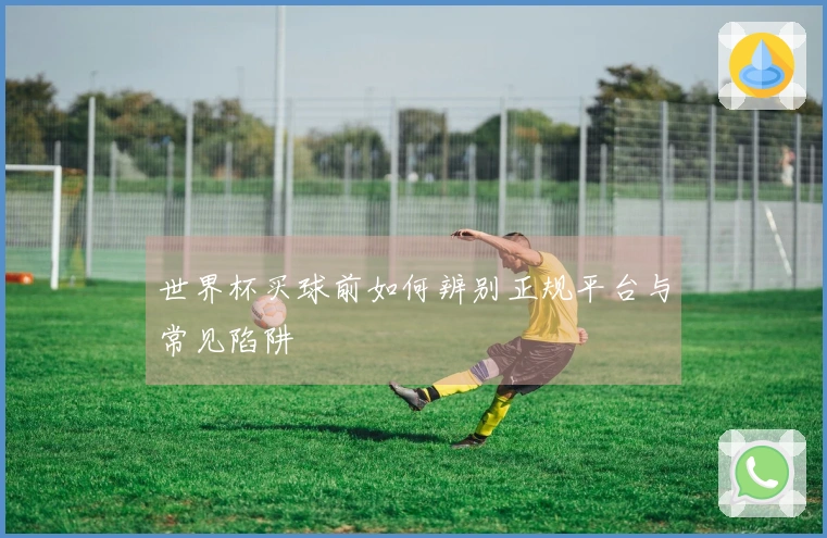 世界杯买球前如何辨别正规平台与常见陷阱
