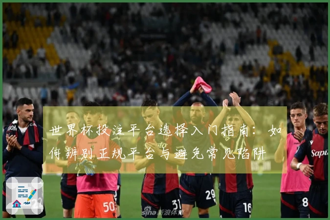 世界杯投注平台选择入门指南：如何辨别正规平台与避免常见陷阱