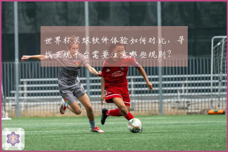 世界杯买球软件体验如何对比，寻找正规平台需要注意哪些规则？