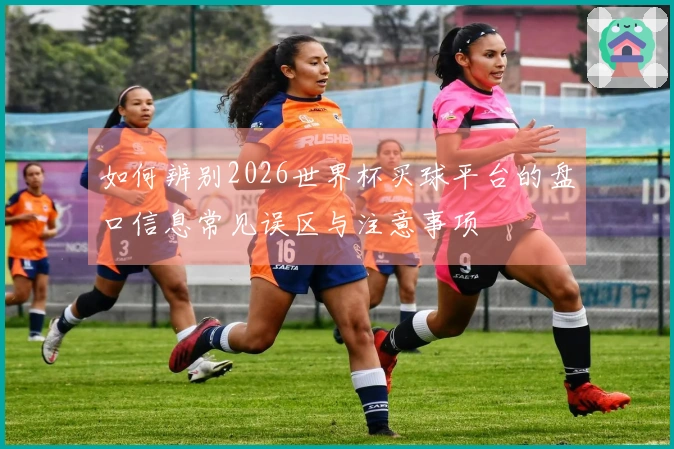 如何辨别2026世界杯买球平台的盘口信息常见误区与注意事项
