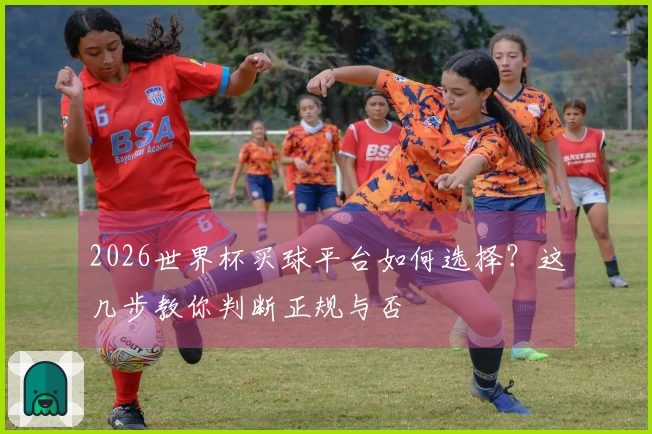 2026世界杯买球平台如何选择？这几步教你判断正规与否