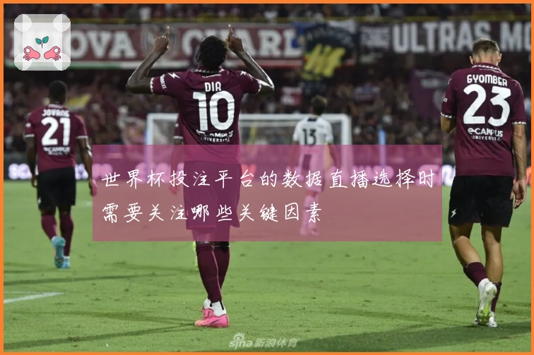 世界杯投注平台的数据直播选择时需要关注哪些关键因素