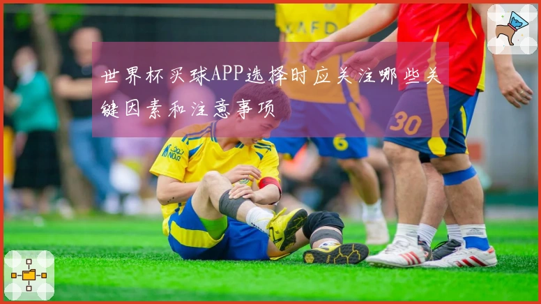 世界杯买球APP选择时应关注哪些关键因素和注意事项