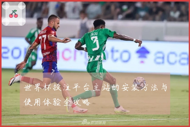 世界杯投注平台主站的安装方法与使用体验全攻略