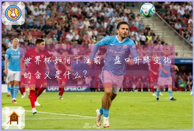 世界杯如何下注前,盘口升降变化的含义是什么?