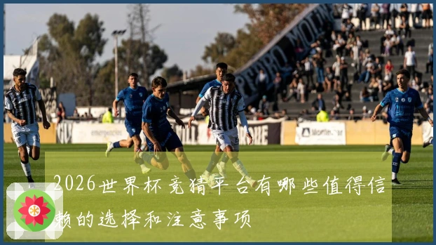 2026世界杯竞猜平台有哪些值得信赖的选择和注意事项