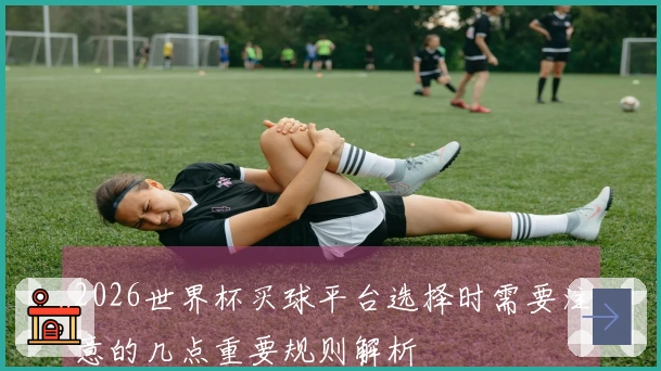 2026世界杯买球平台选择时需要注意的几点重要规则解析